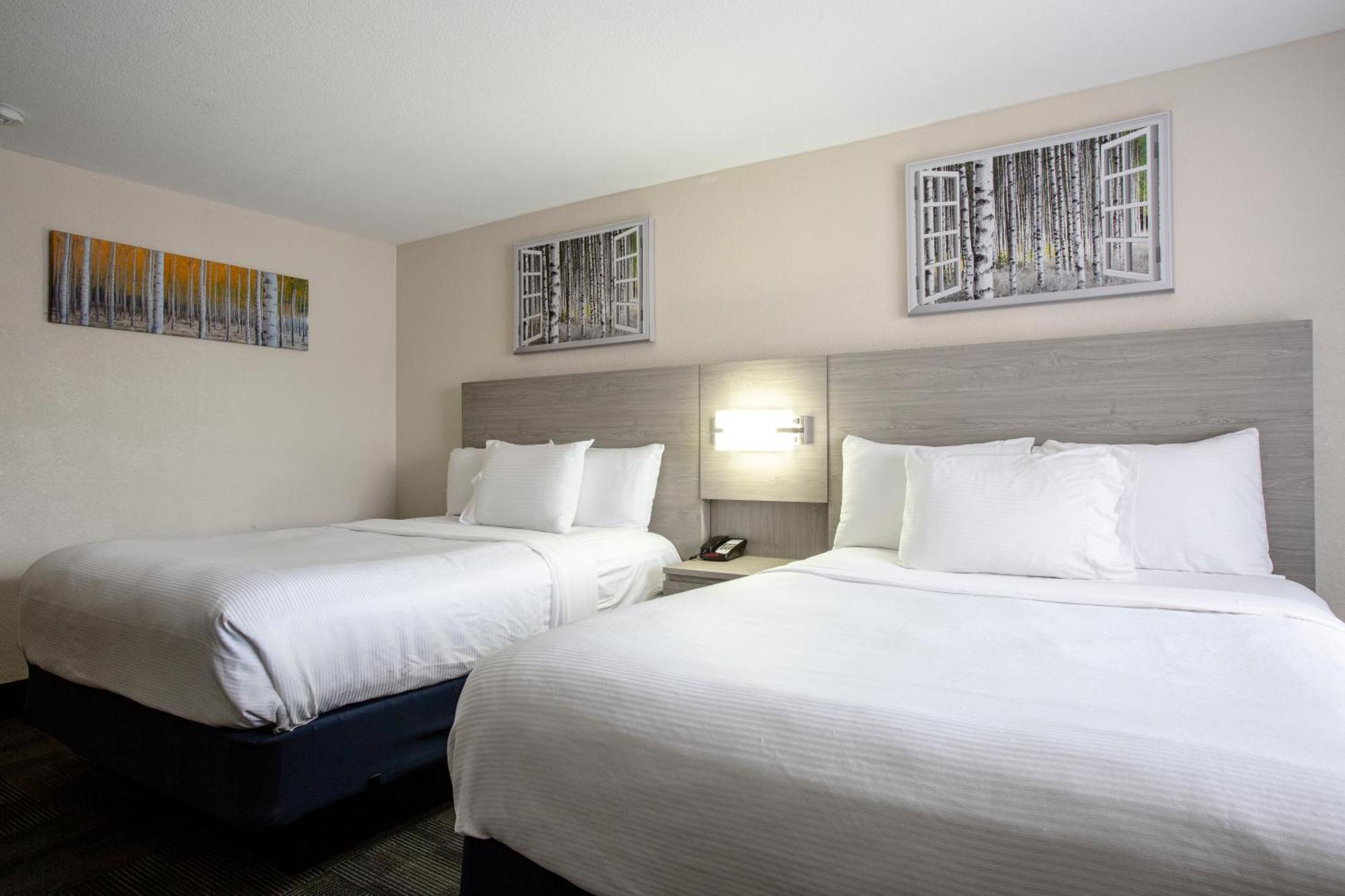 Standard Queen Room with Two Queen Beds,1210220605:JPEG