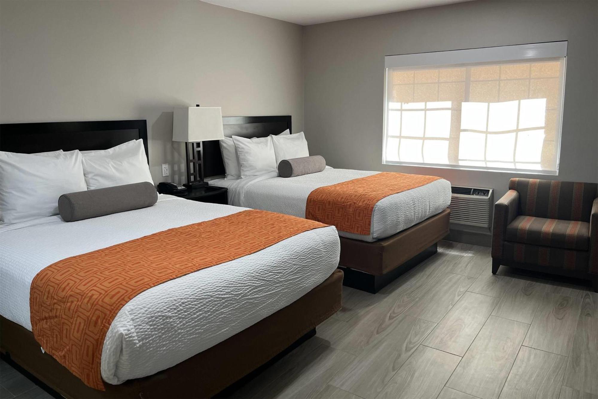 Family Queen Suite Kitchenette