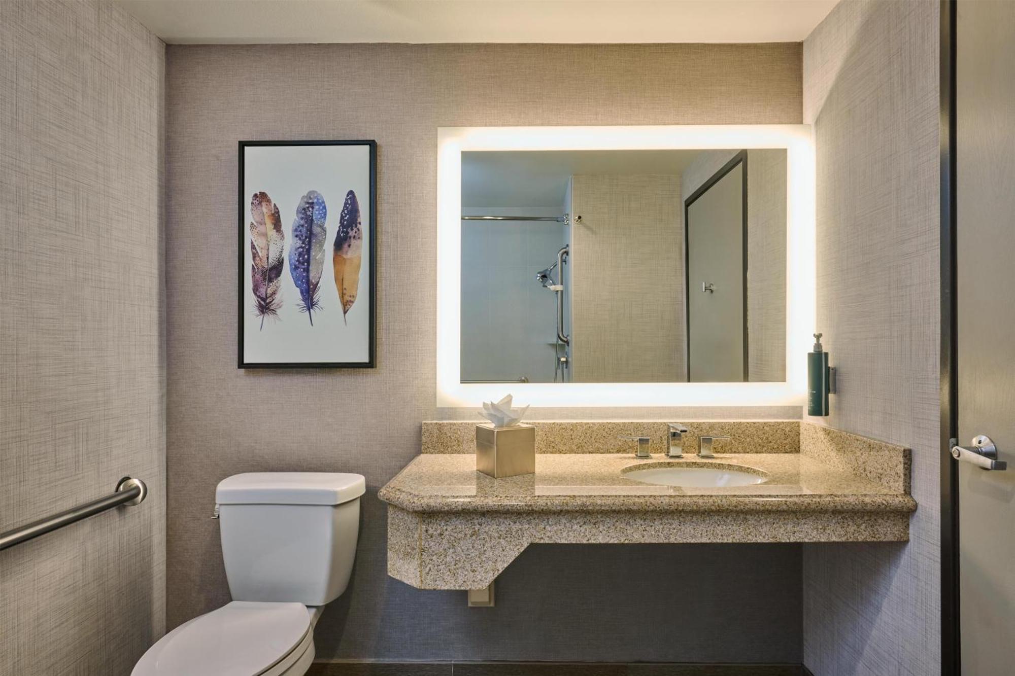 King Room Accessible Tub Mobility Hearing Access